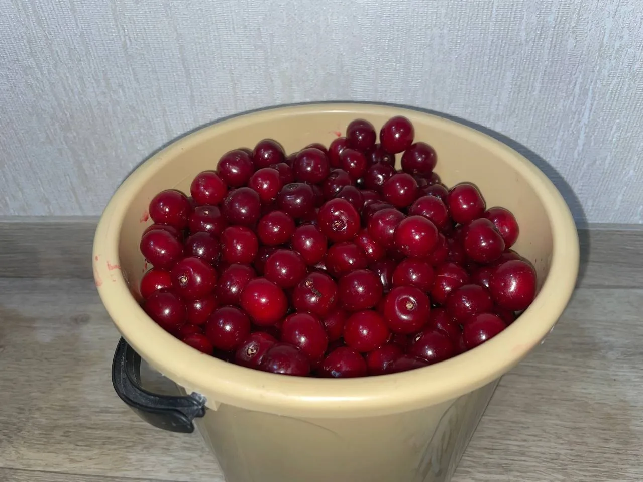 Спелая вишня! Цена 200₽/кг. Будённовский р-н. +79494198754