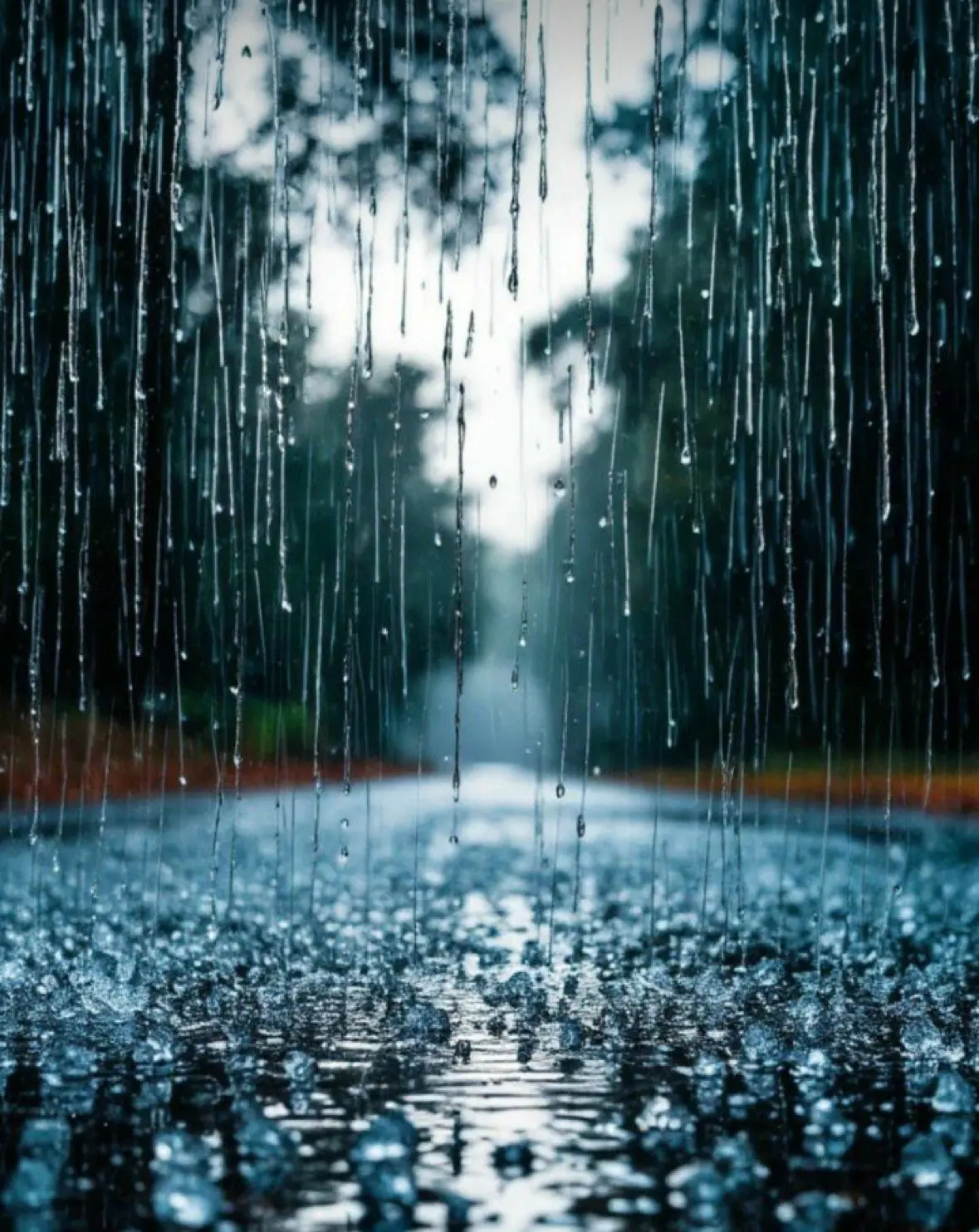 🌧️ Самый мощный за 10 лет ливень обрушится на Петербург уже завтра, — предупреждают си...