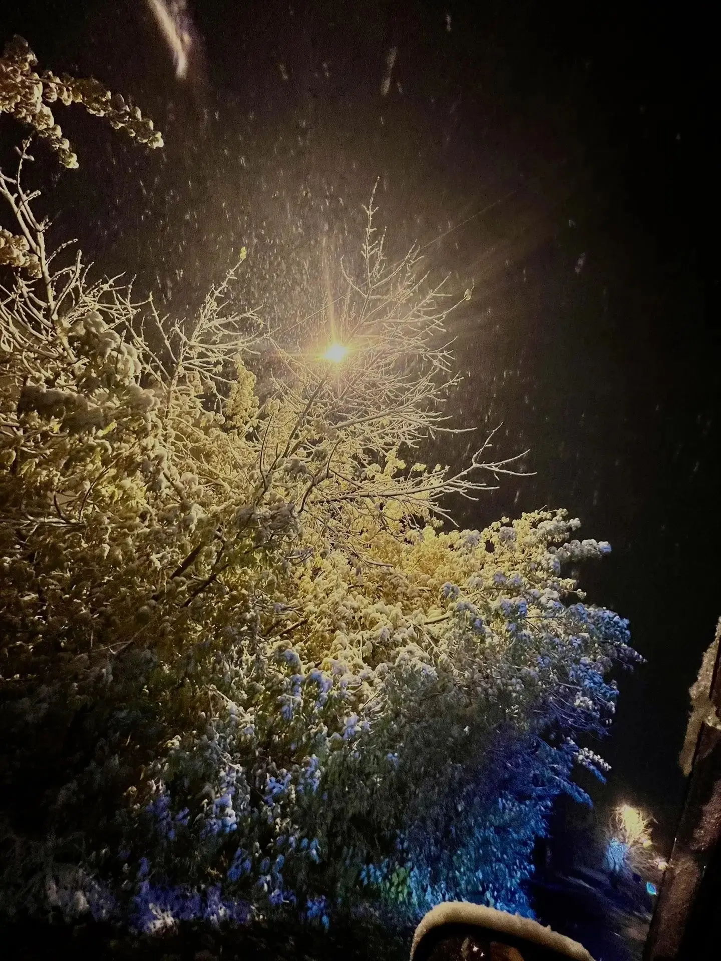 ❄️❄️Первый снег, он, конечно, растает,