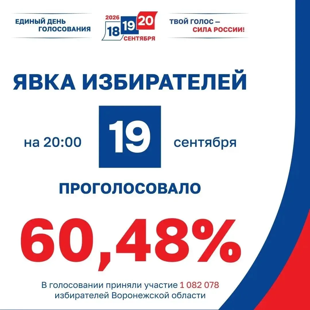 Второй день голосования в Воронежской области прошел успешно ✅