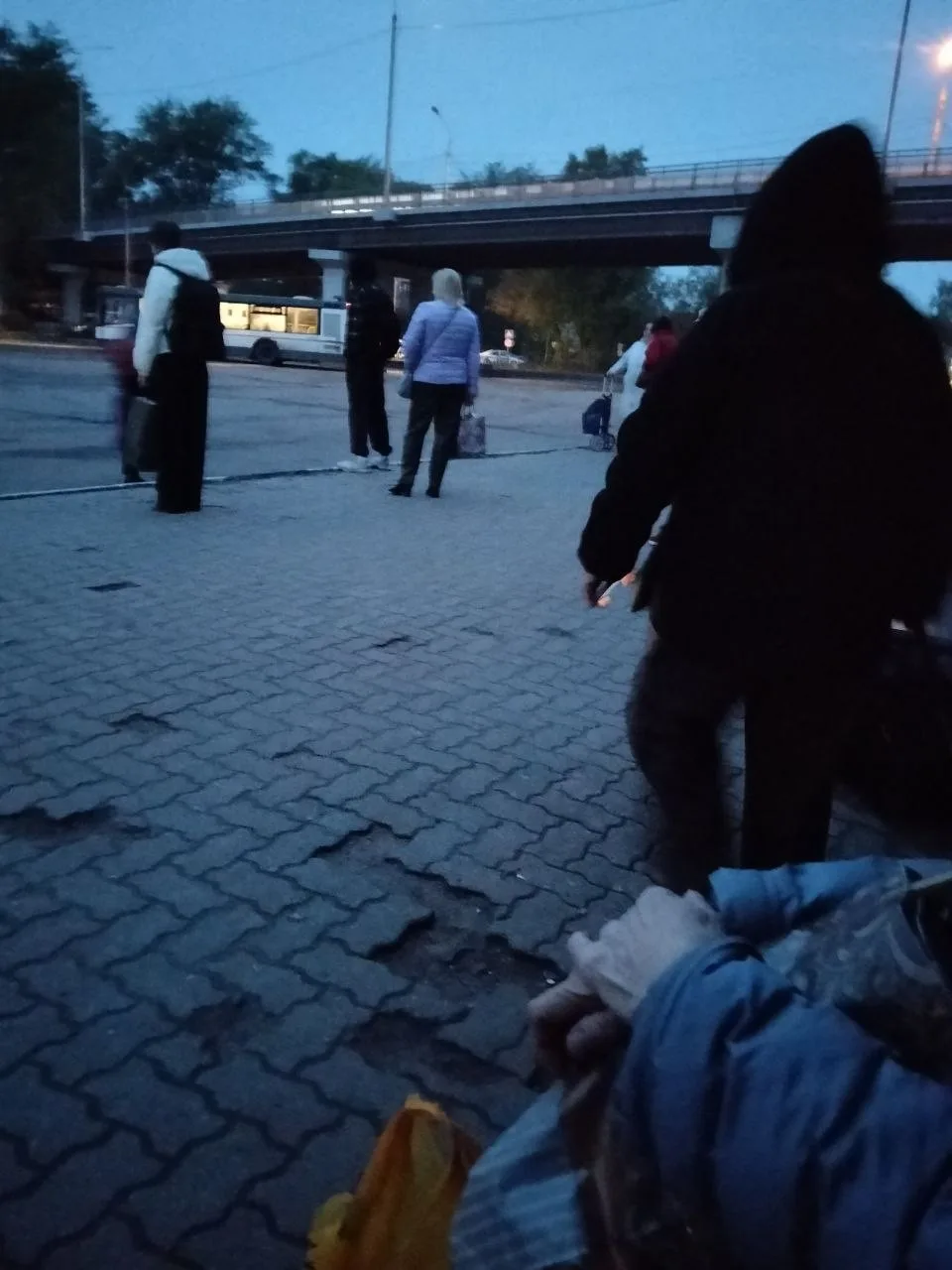 Отсутствие автобуса маршрута 24 Воскресенск – Фосфоритный отправлением в 20:55 с автовокзала Воскрес
