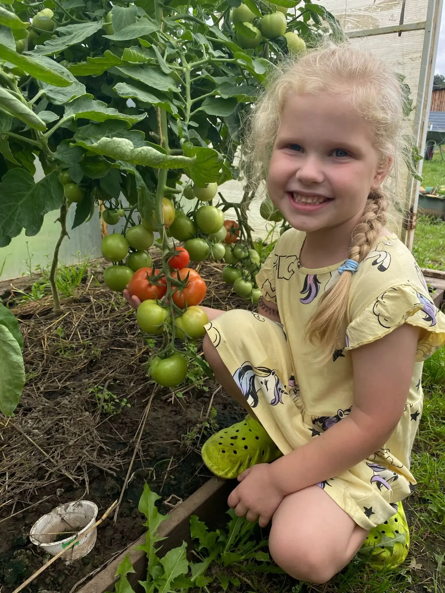 Челлендж #Эколята_в_деле
🍀🌳🥦☘️🥒🍅🥬🫛
В огороде много гряд:
Тут и репа, и салат, 
Тут и свекла, 
