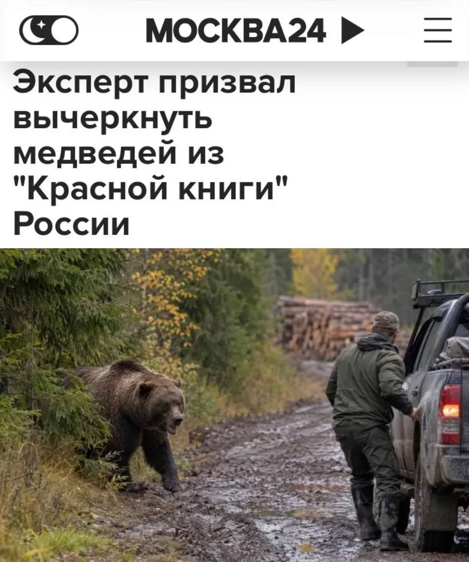 ❗️Эксперт предложил исключить медведей из Красной книги России.