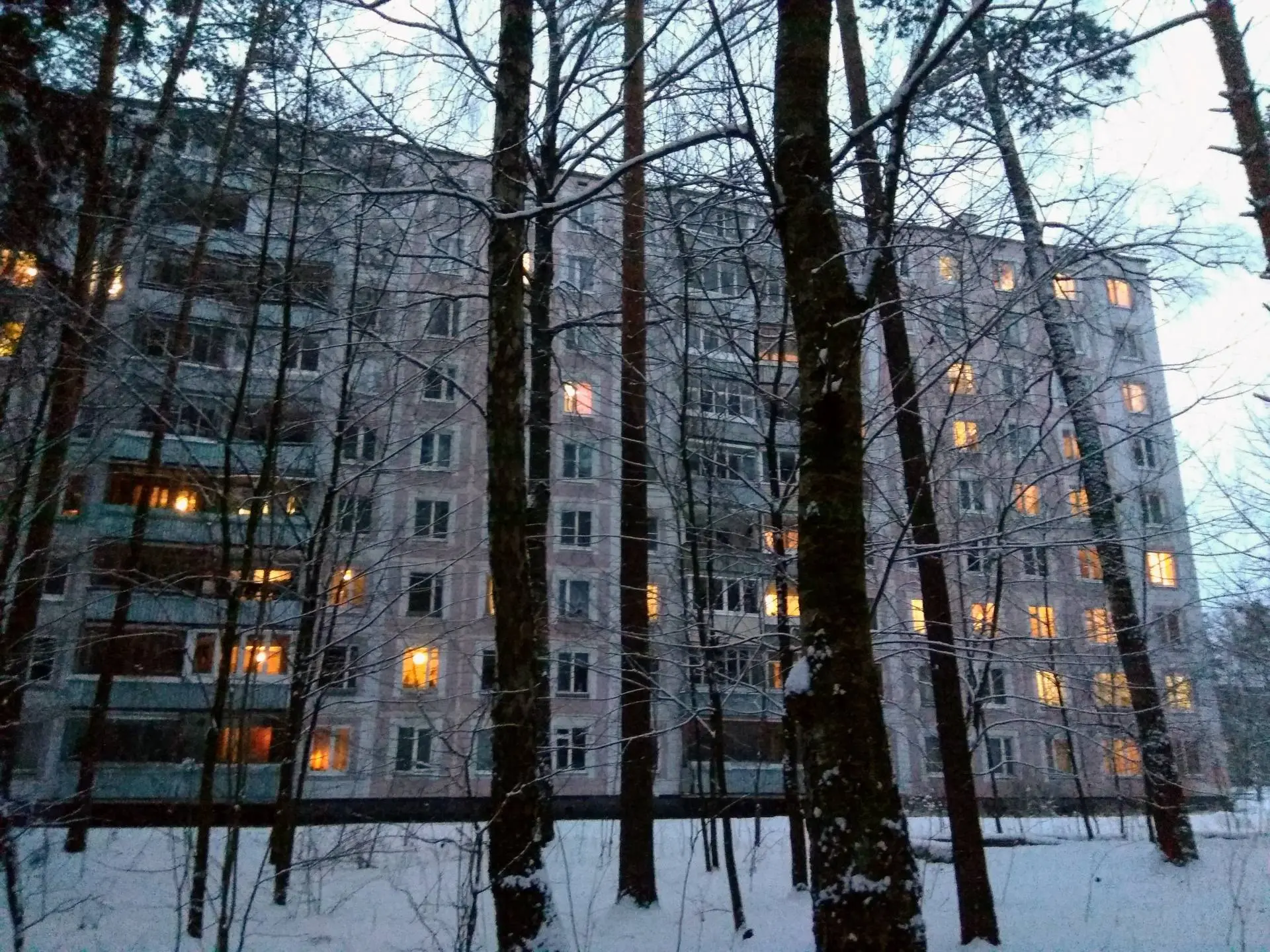 🏘 А вы знаете, где в Черноголовке находится «Негритянка»?
Так жители города прозвали район панельны