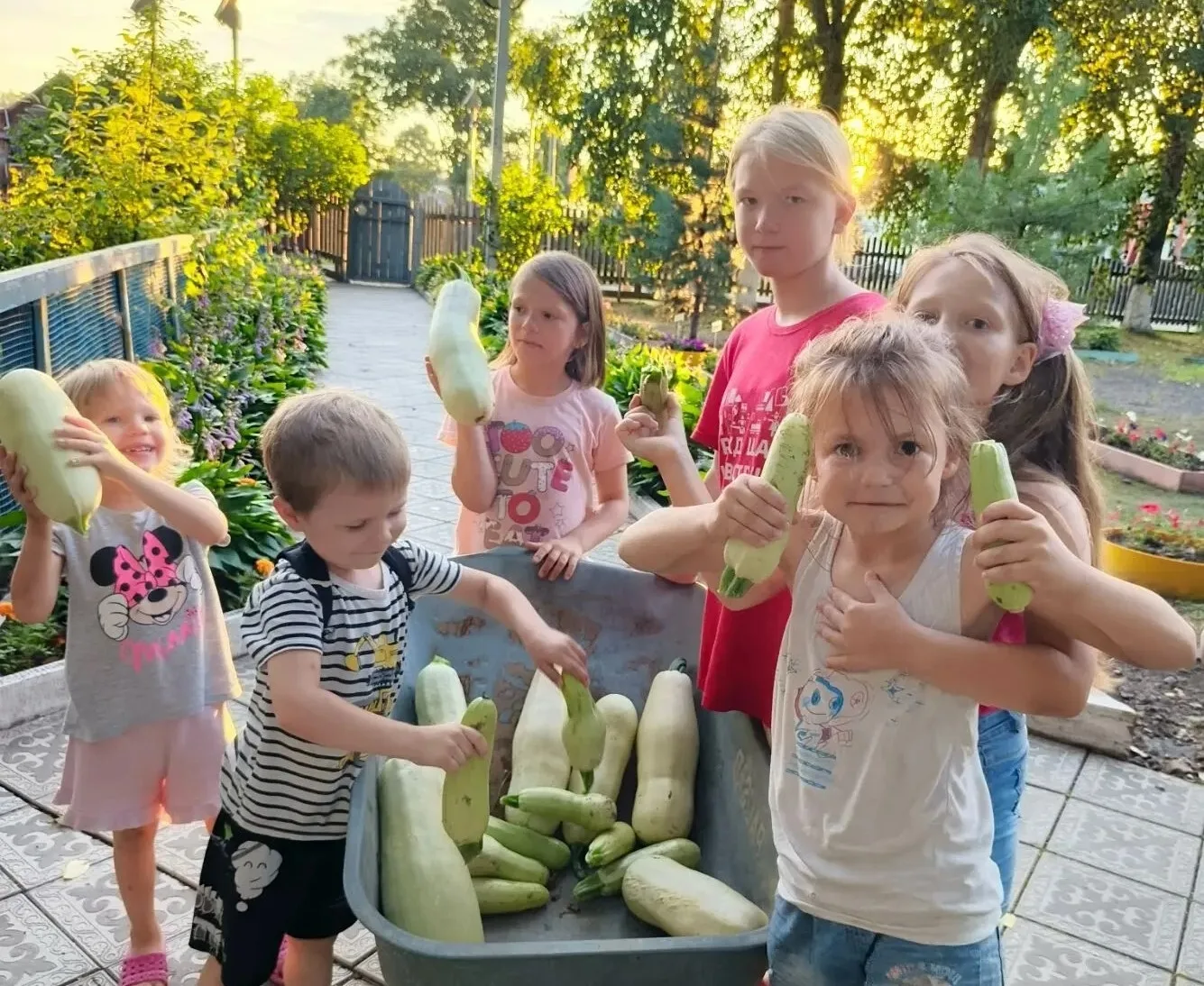 Конец лета и начало осени в наших широтах неизменно проходят под знаком кабачка.
