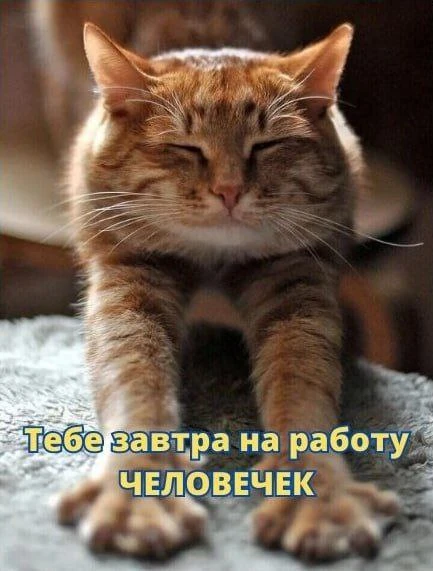Не расслабляемся 😁