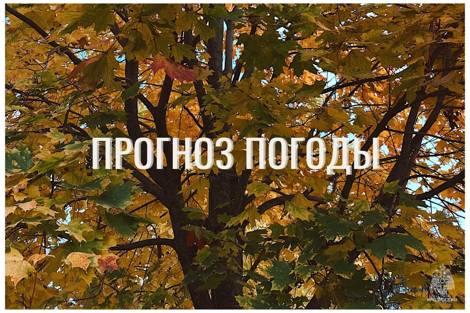 ⛅По данным ЦГМС, 4 сентября в регионе прогнозируется облачная погода с прояснениями.