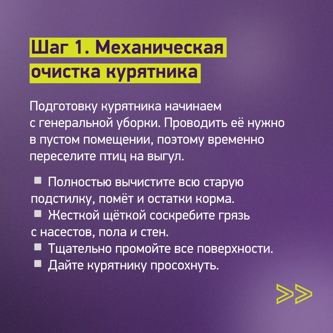 🐔 Подготовка курятника к зиме: с чего начать?