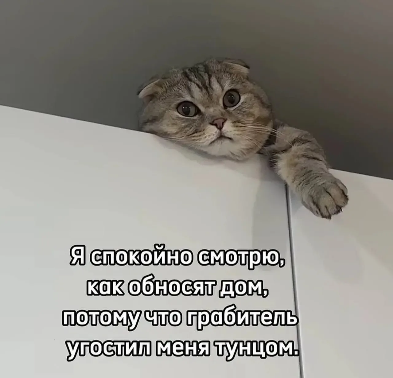 Немного юмора)