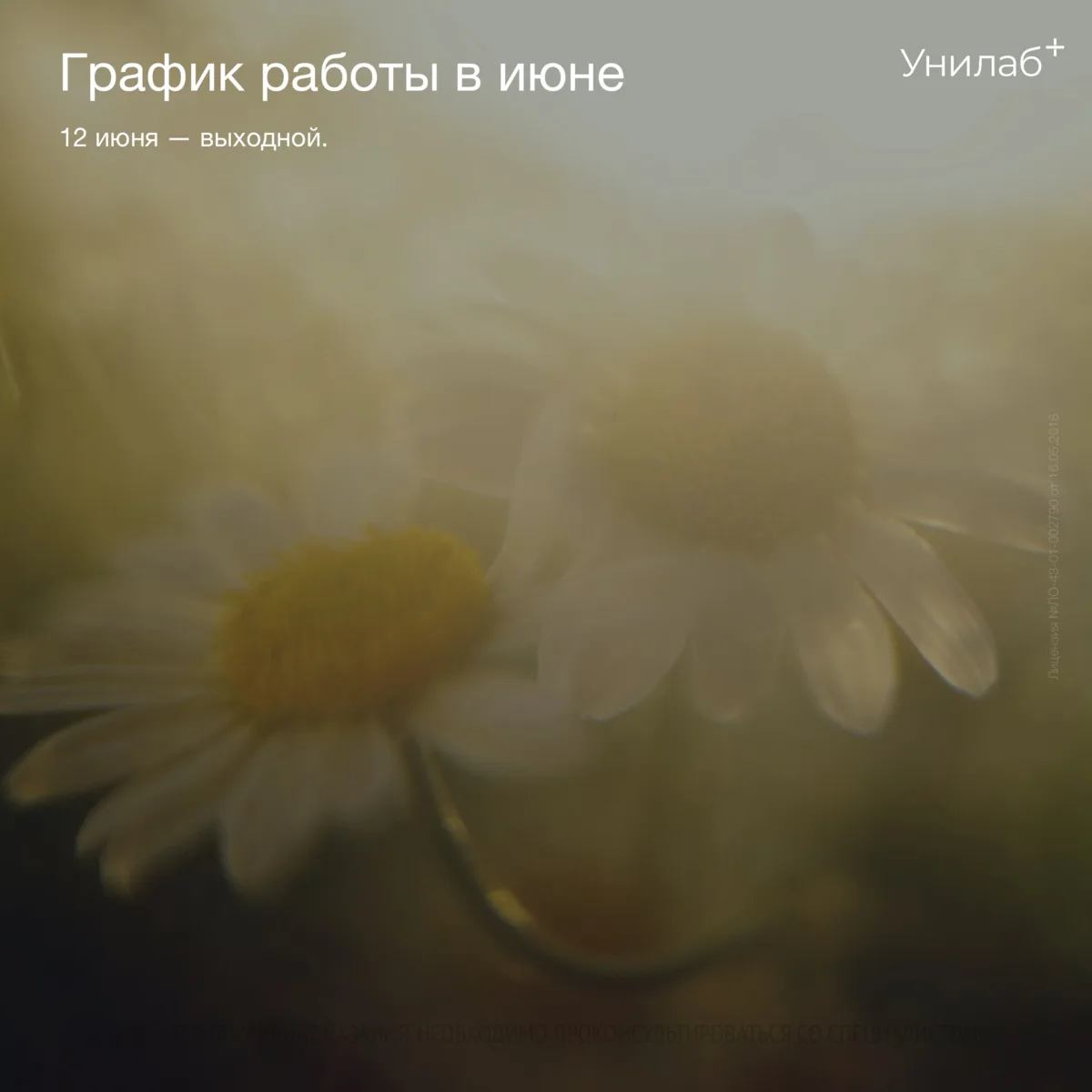🗓️ График работы в июне