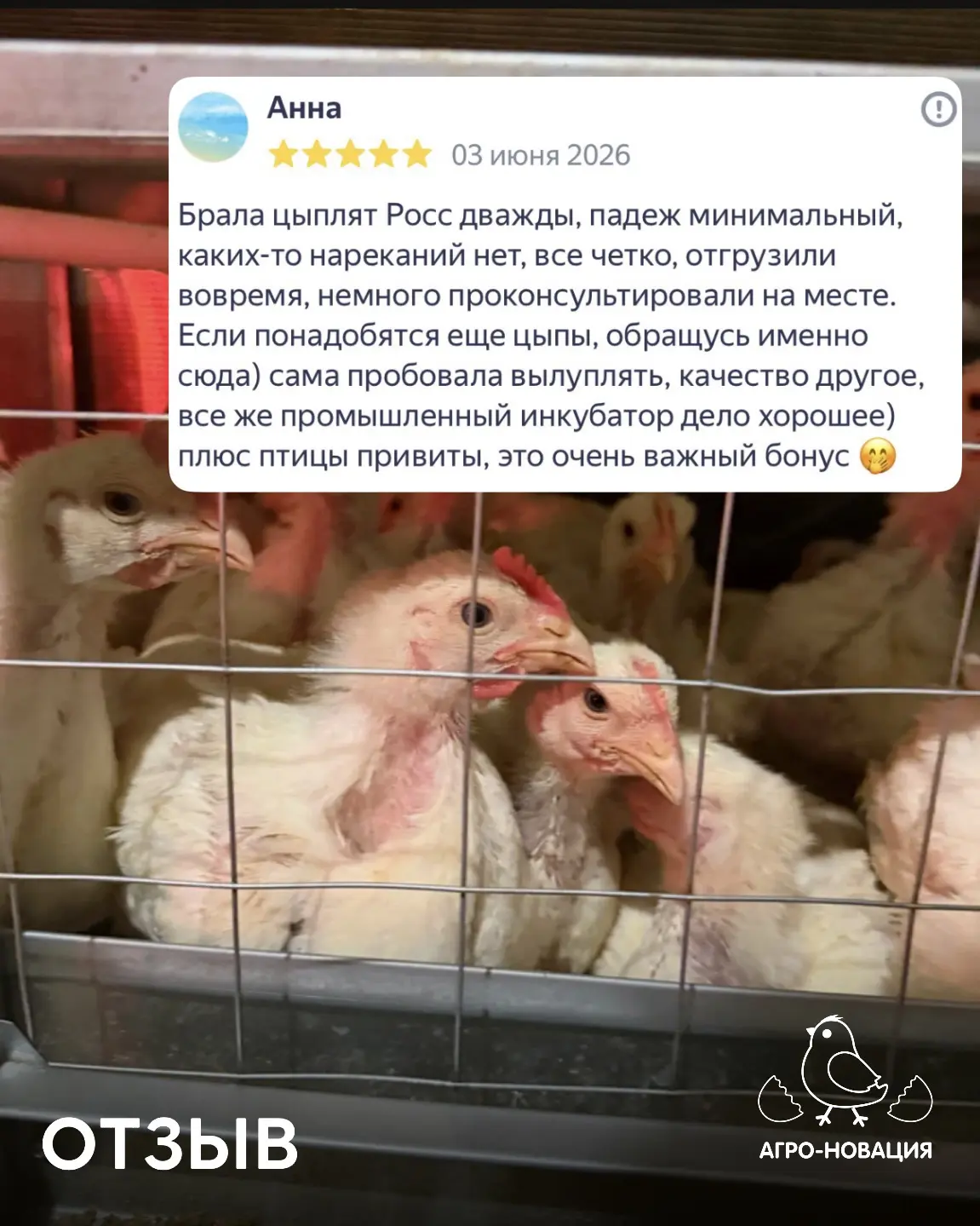 Отзывы наших клиентов птицеводов 📝