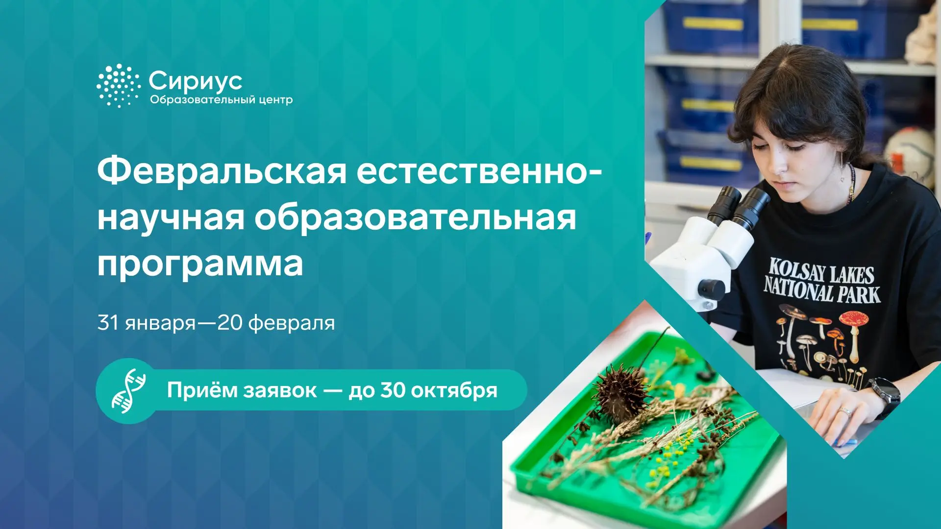 Физика, химия и биология на одной программе: открыт приём заявок на февраль⚡️
