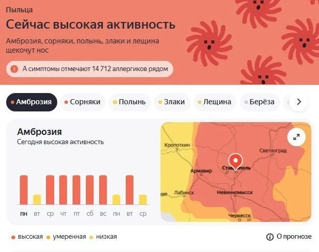 Осень осенью, а аллергия по расписанию 🥲