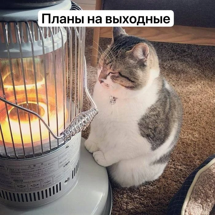 🥶Холода придут в Москву и область уже в эти выходные