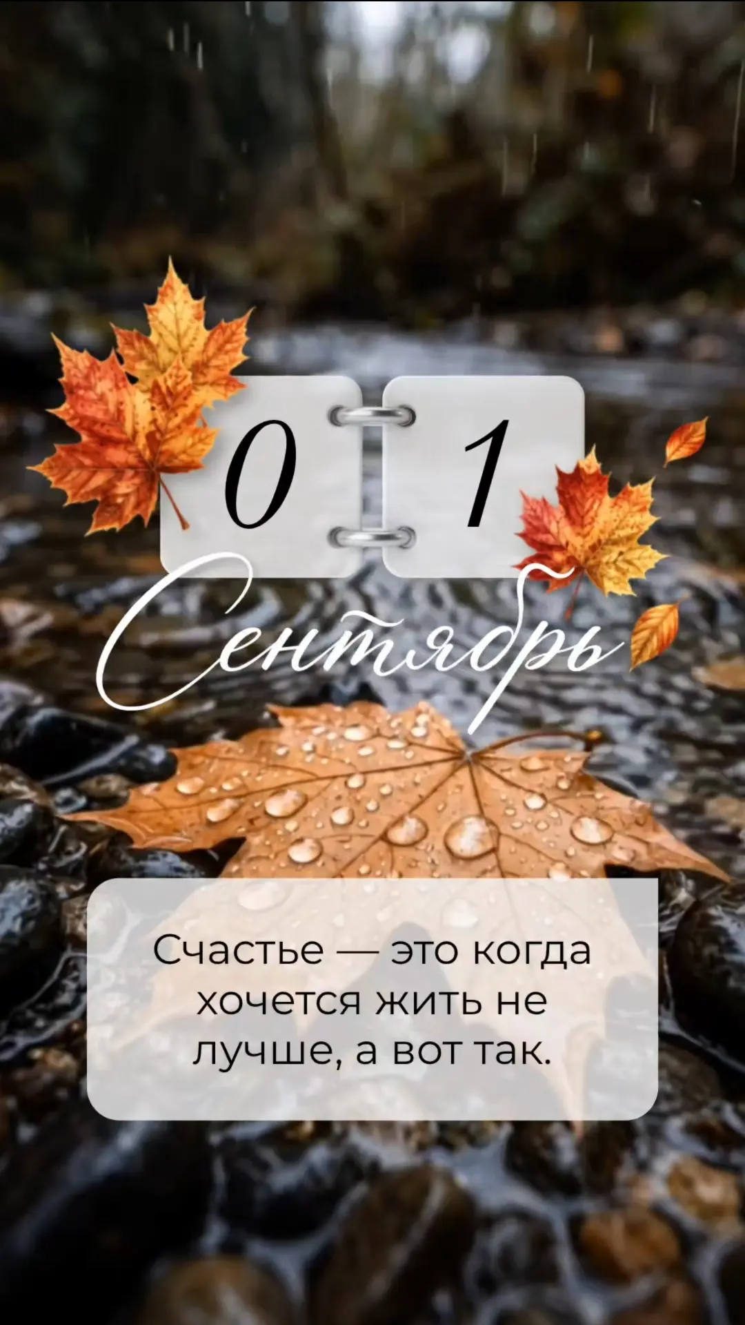 Счастье — это когда хочется жить не лучше, а вот так.