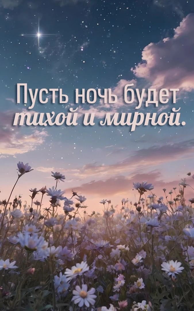 #спокойнойночи