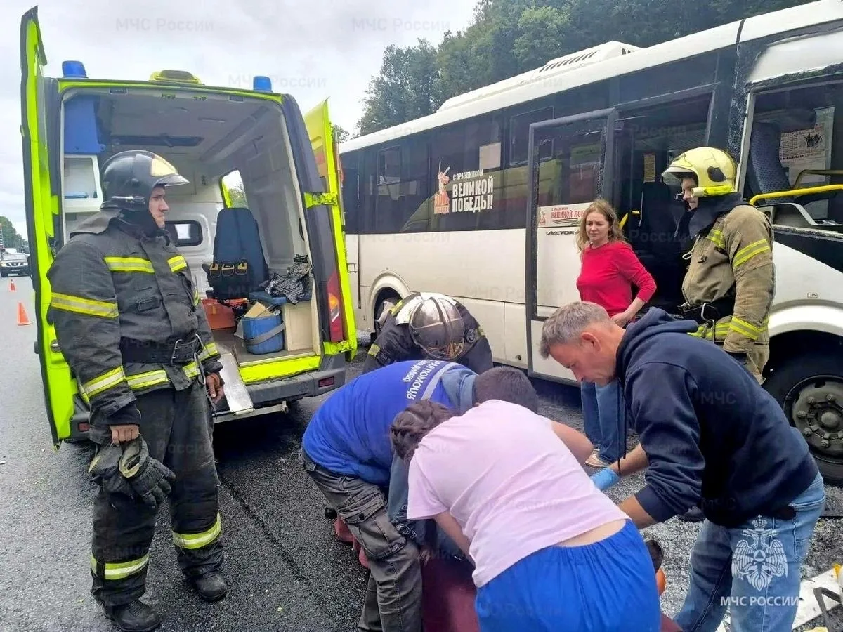 Во Владимире в массовом ДТП с автобусом пострадали три человека

На въезде во Владимир со стороны Юр