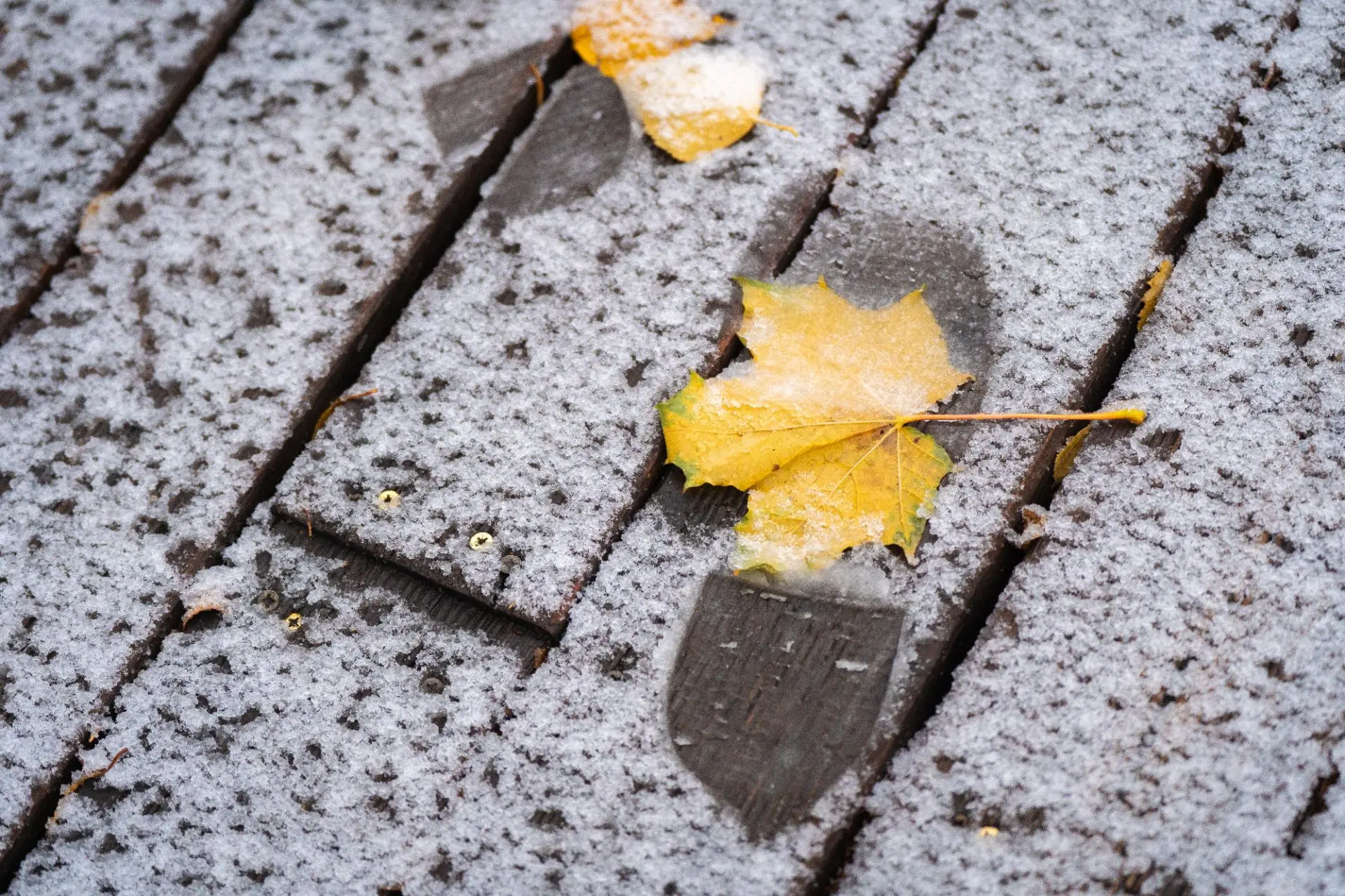 ❄️ Бүген Татарстанның берничә районында беренче кар яуган. Аерым алганда, аны Кукмара һ...