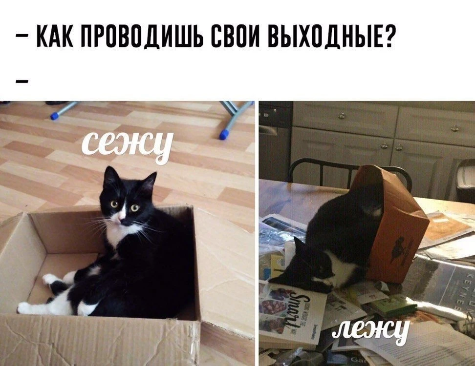 Как проводите выходные?