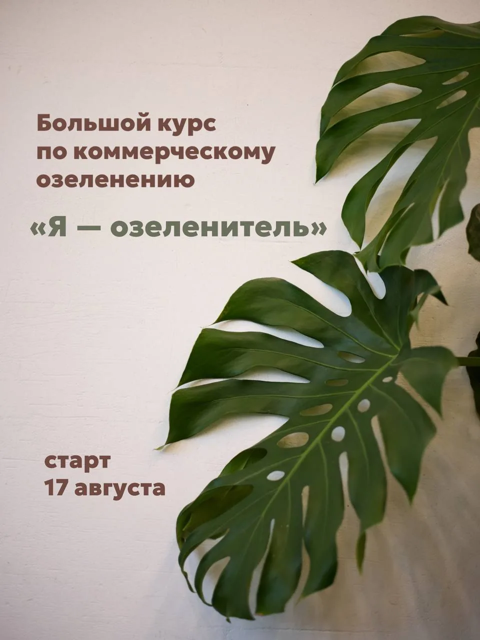 Рассказала в карточках как устроен курс «Я — озеленитель», а чтобы подать заявку на льг...