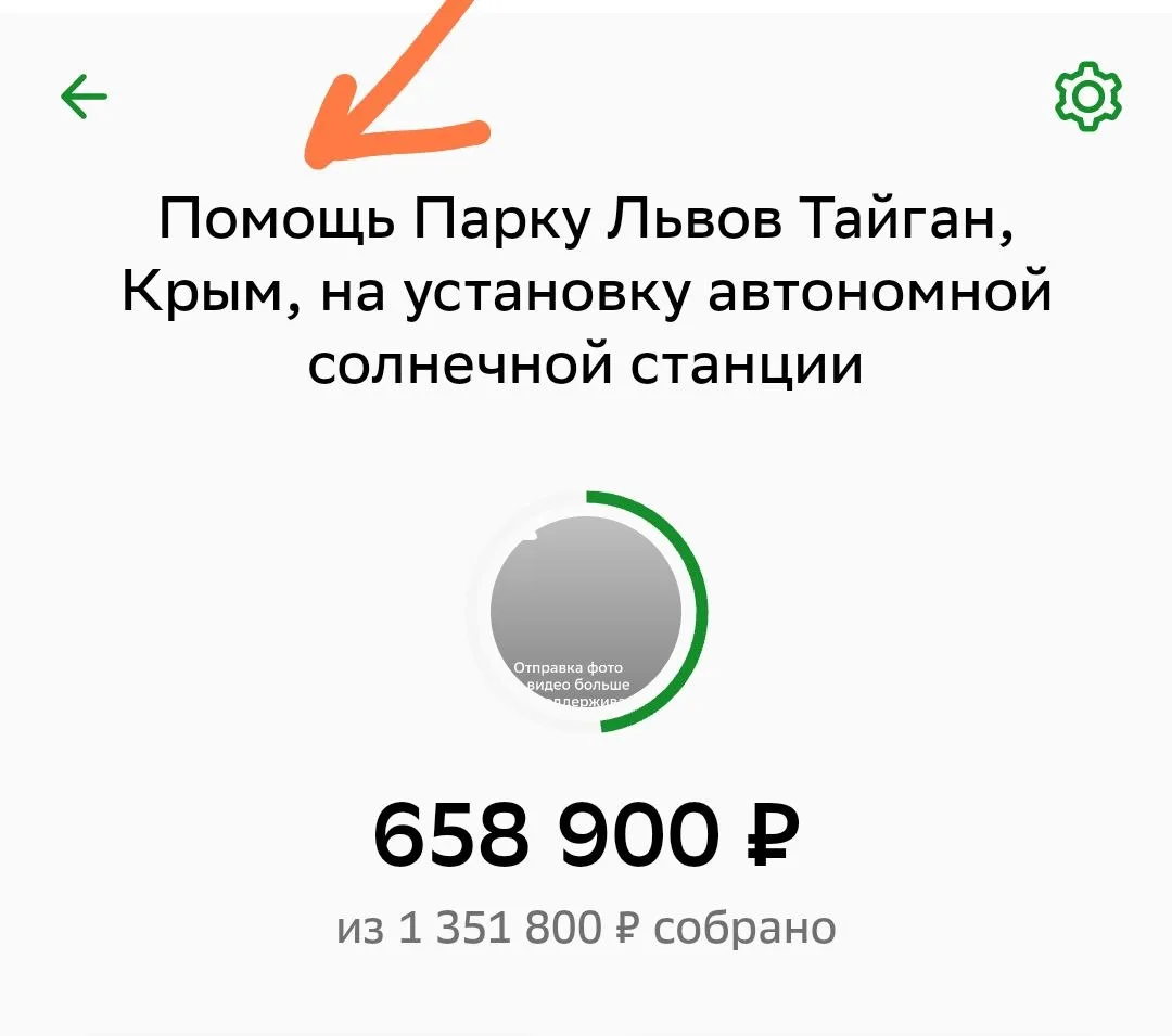 Сбор потихоньку идёт. Спасибо, друзья!❤️🤝