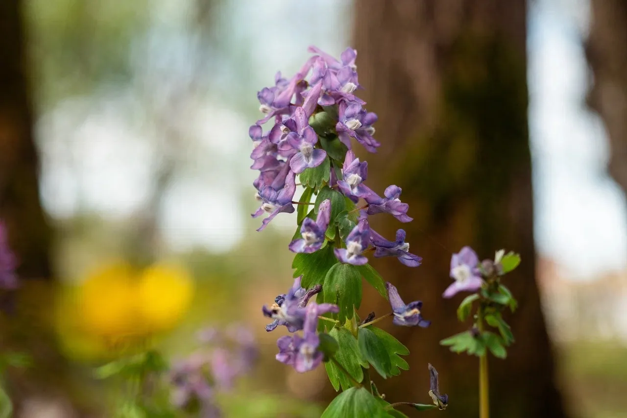 🌼 Несмотря на погоду, весна в Кинопарк пришла!   Вдохновляемся природой, а уже через три дня вновь н
