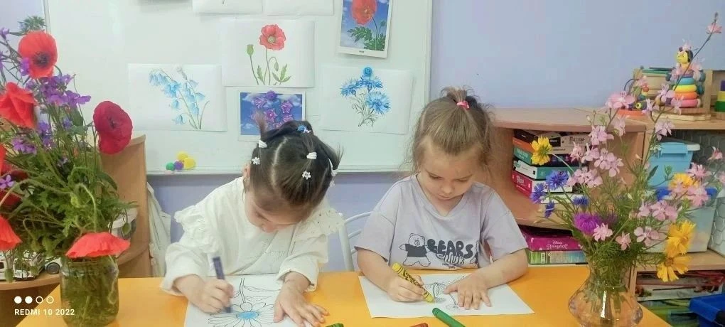 5 июня — Всемирный день охраны окружающей среды! 🌍