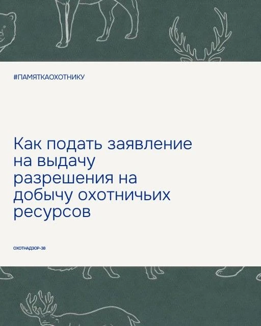 1️⃣Подать заявление на получение разрешения на добычу охотничьих ресурсов можно:

🔵Лично — посетите