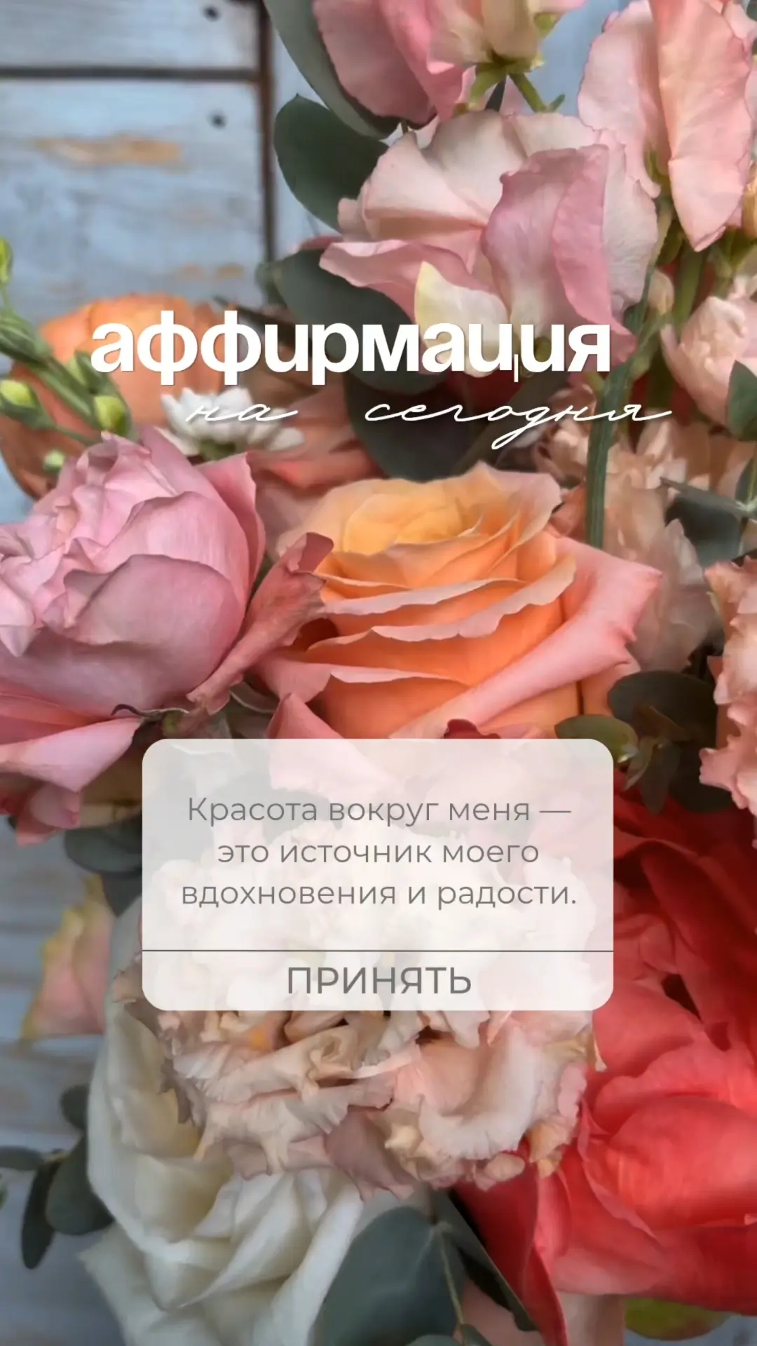 Красота вокруг меня — это источник моего вдохновения и радости.