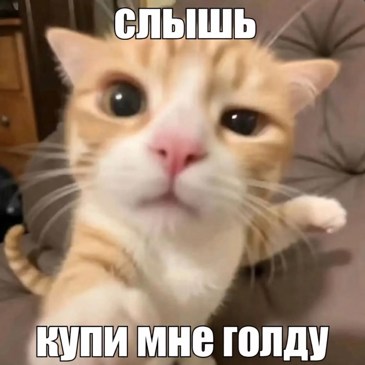 😱 Ты встретил его ночью на улице
