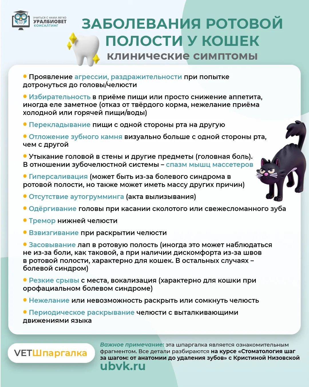 🙍: "У моей кошки появилась странная привычка – после еды она утыкается мордочкой в стену"...
🙎: "М