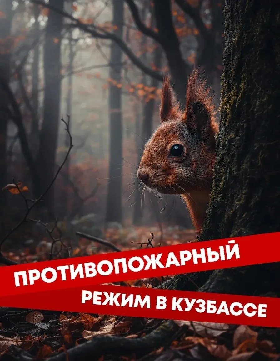 Сезон повышенной пожарной опасности в Кузбассе.  После таяния снега сухая трава и листва быстро высы