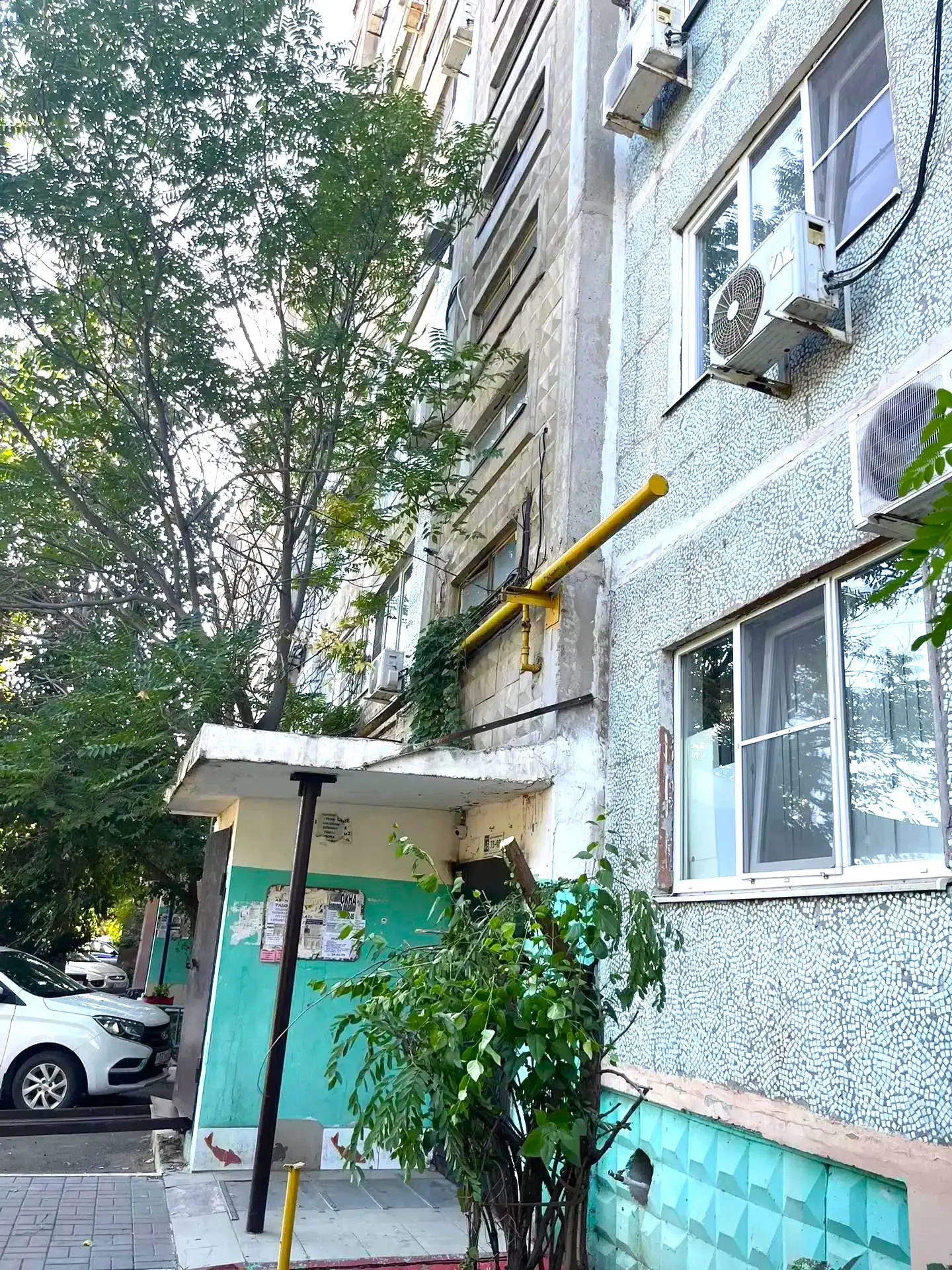 К новости «Никаких преград 🌳»