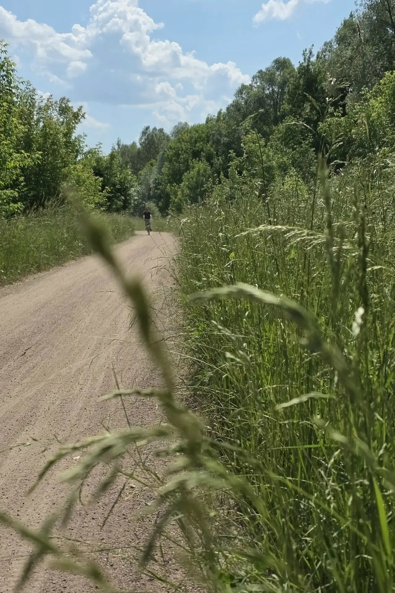 Как же неприятно!😡 
 
Я понимаю, что платного входа на вело1 нету, но ребята, вы должны держать пла