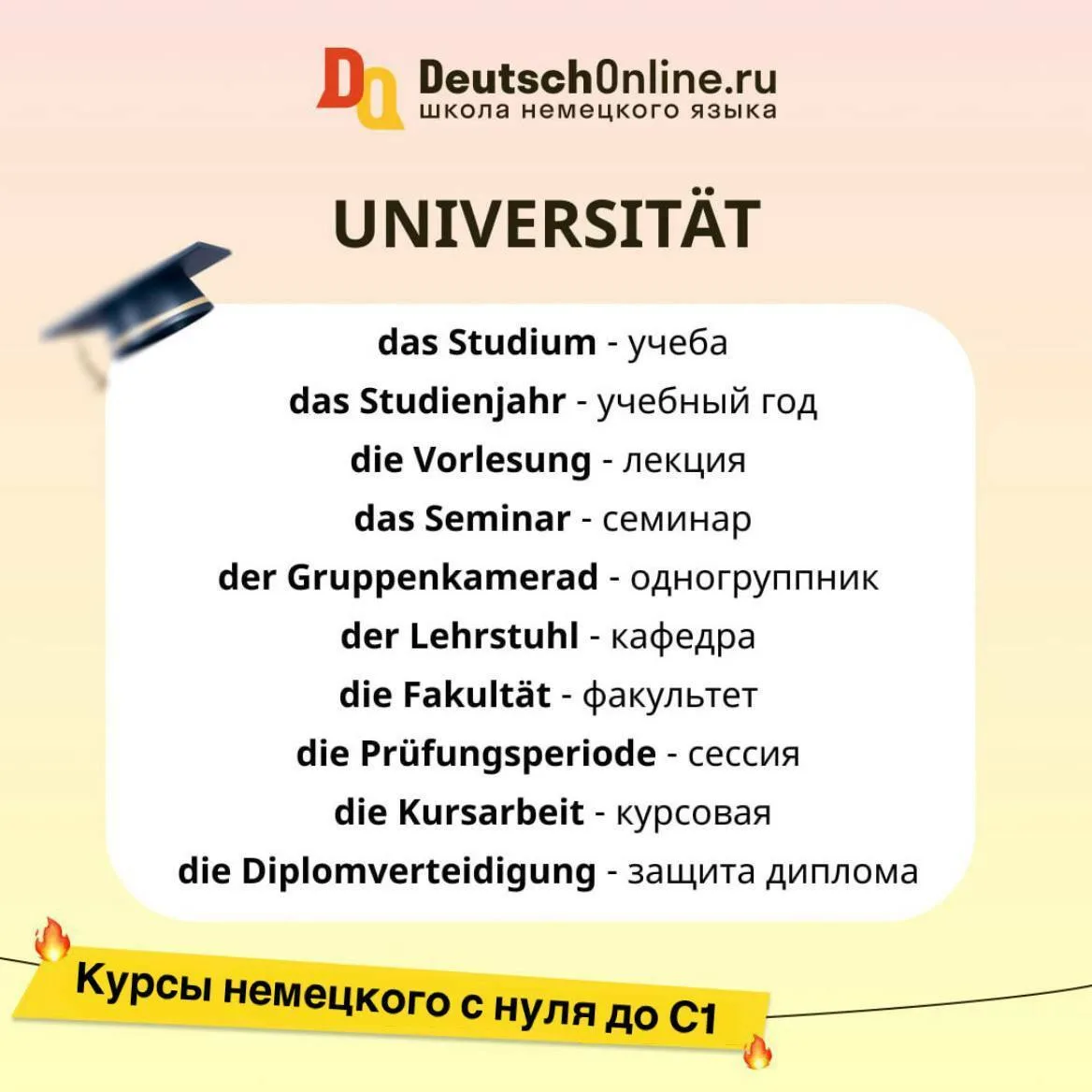 Могут ли иностранцы получить высшее образование в Германии бесплатно? 🇩🇪👩🏼‍🎓  Да! Программы будут на