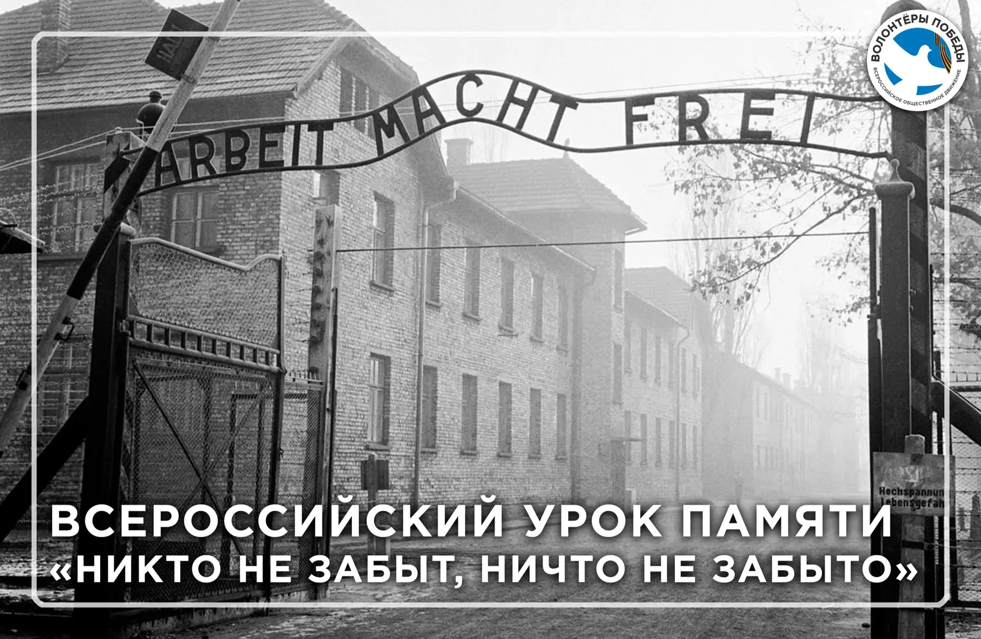 🔥Урок памяти: «Никто не забыт, ничто не забыто»  🕊️Сегодня отряд «Волонтёров Победы» нашей школы № 5