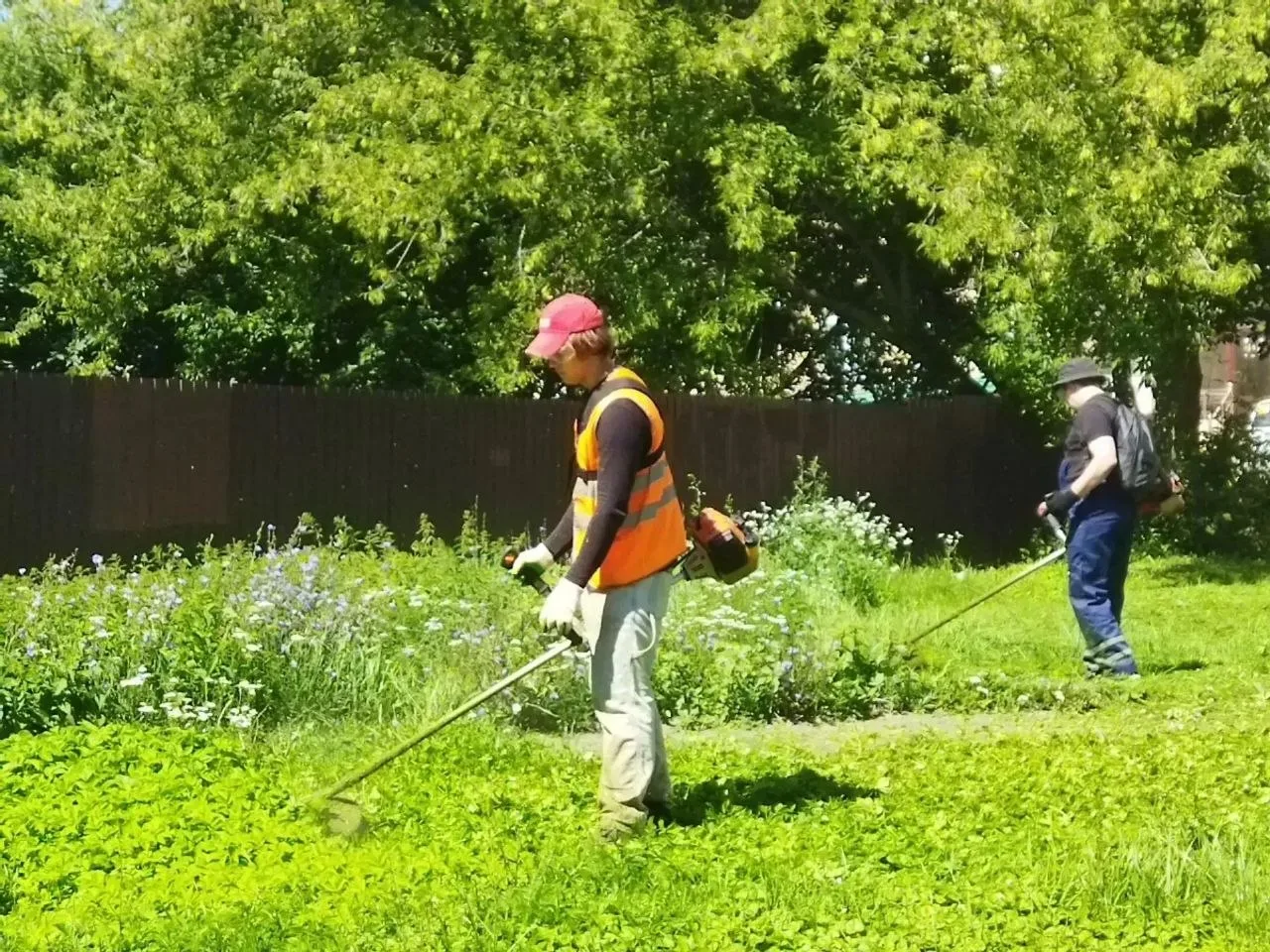 В Брянске дорожные службы продолжают работу по благоустройству газонов.

6 августа было приведено в 