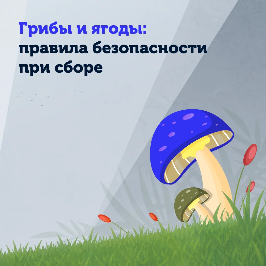 🍄 Сезон грибов и ягод в самом разгаре!