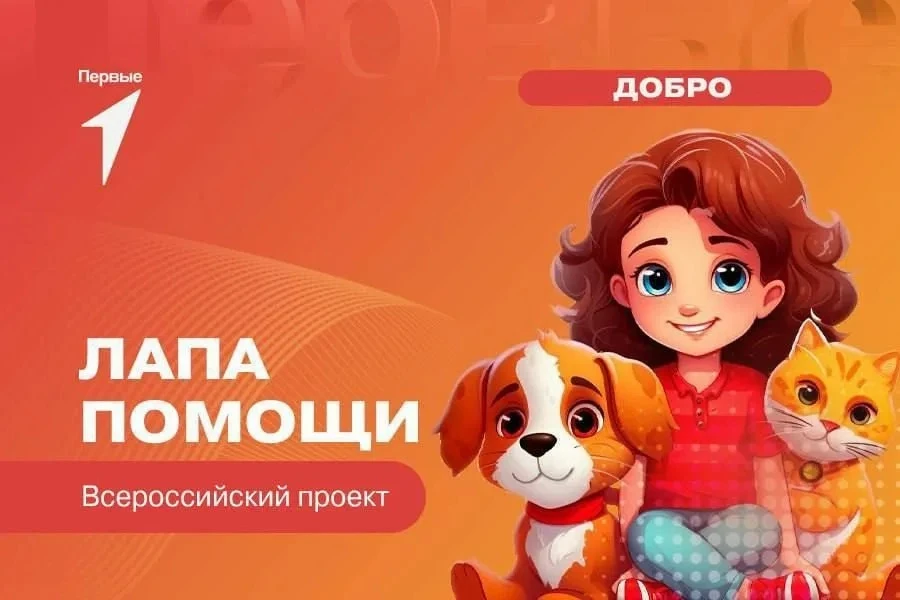 Акция 🐕 «Лапа помощи» 🐈