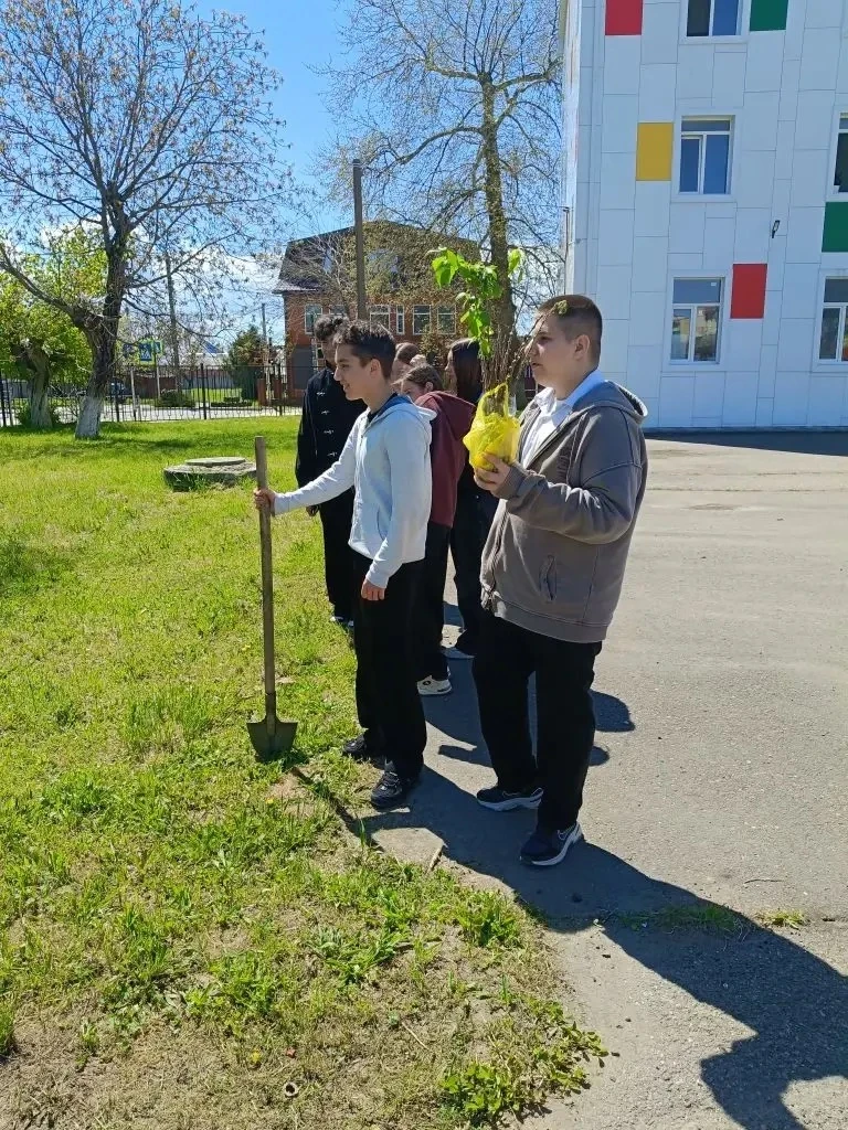 9 "В" класс МБОУ СОШ №3: Наша "Аллея Победы" – Память, которая растет! 🌱🕊️   ученики 9 "В" класса МБ