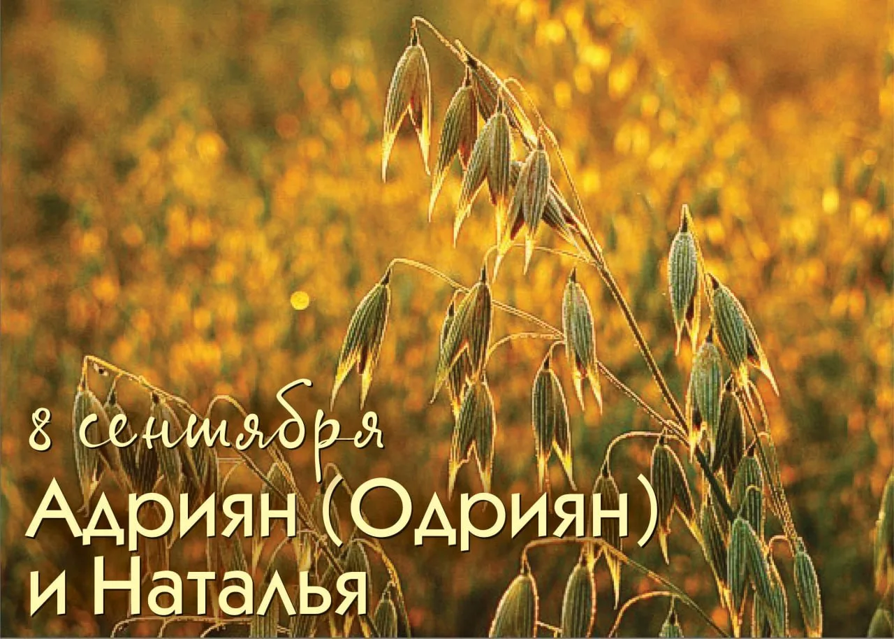 Народный календарь