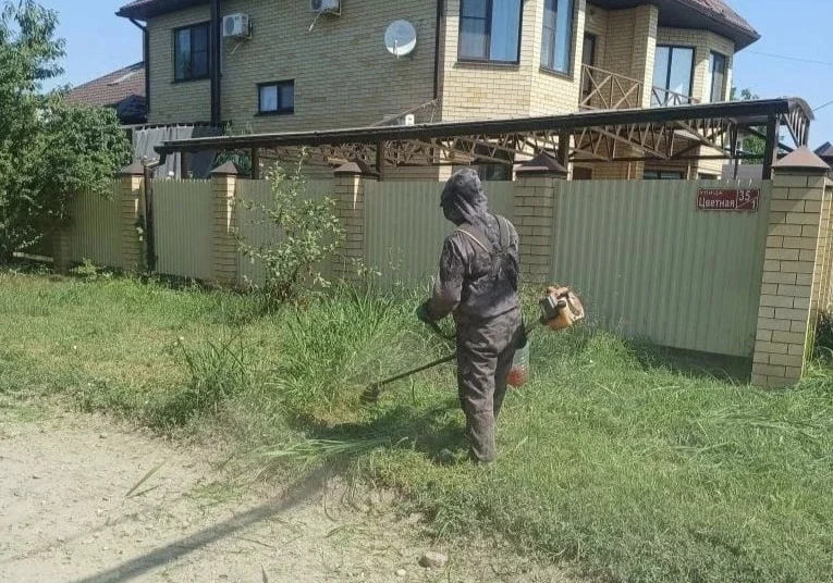 1135 гектаров амброзии и другой сорной растительности скошено в Прикубанском округе с начала сезона 
