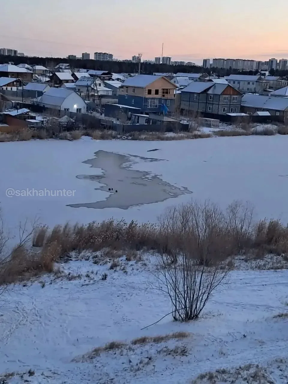В Якутске «серые шейки» замерзают на озере.