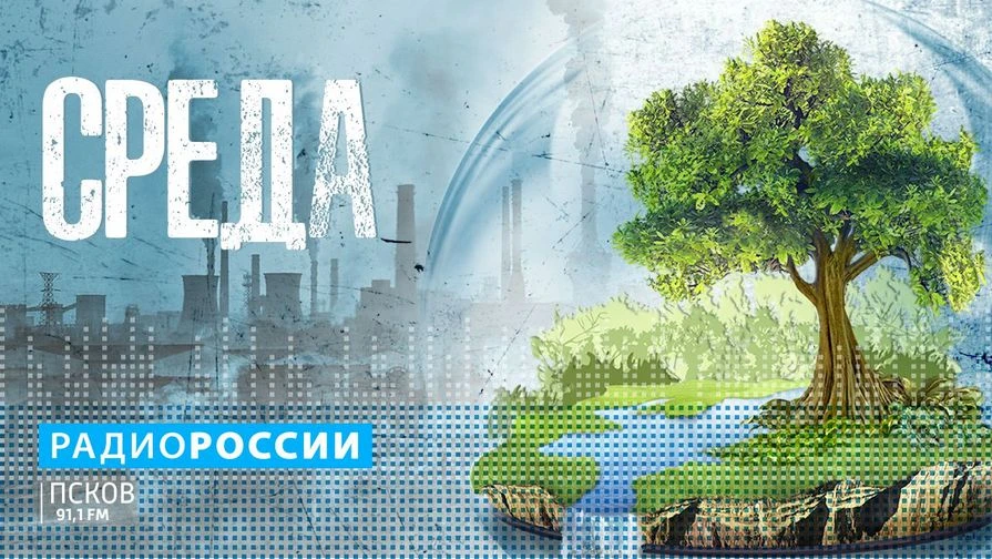 Шкаф в лесу и холодильник в овраге - как в Псковской области находят "героев" незаконны...