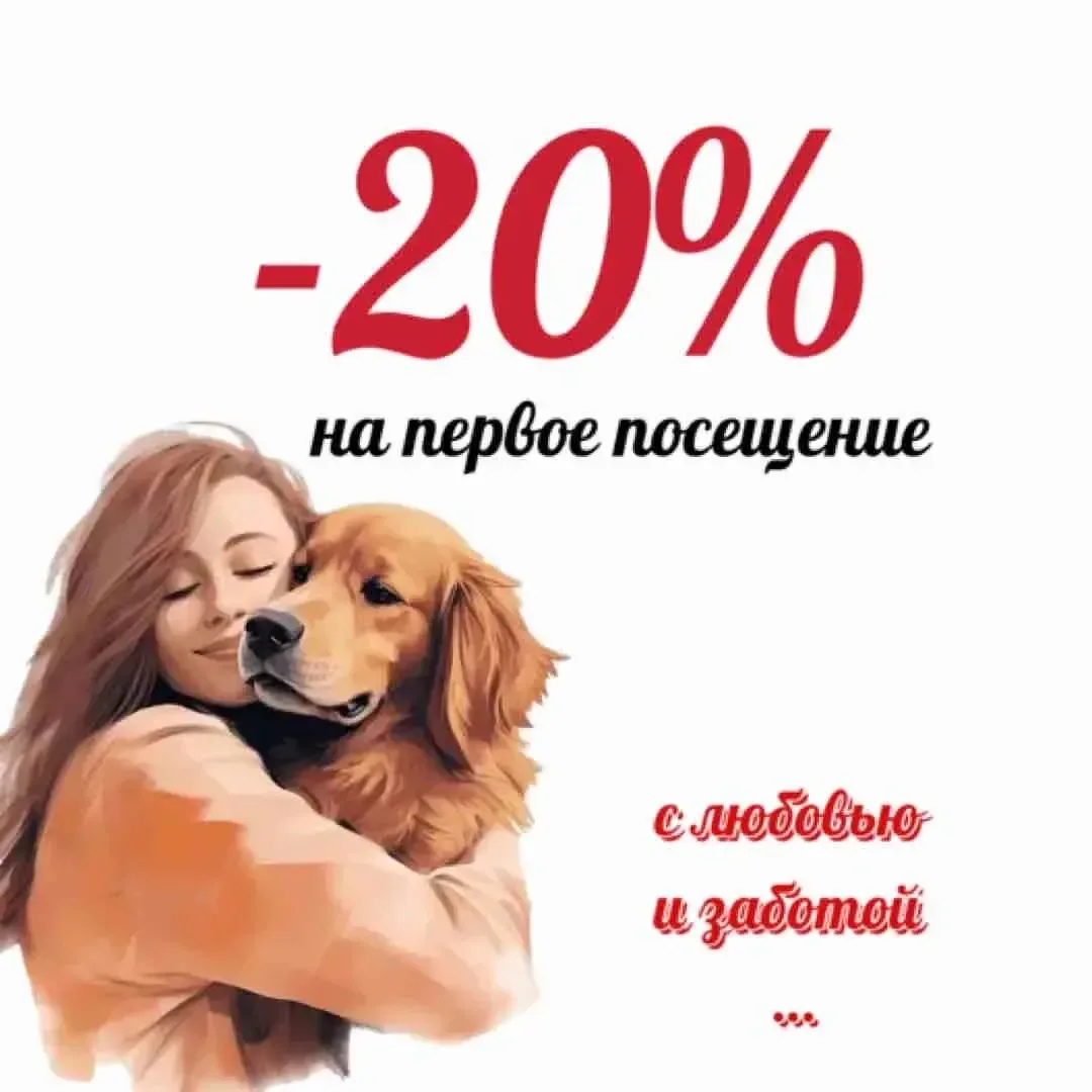 🐾🥳Специальное предложение для пушистых друзей! 🎁🐾