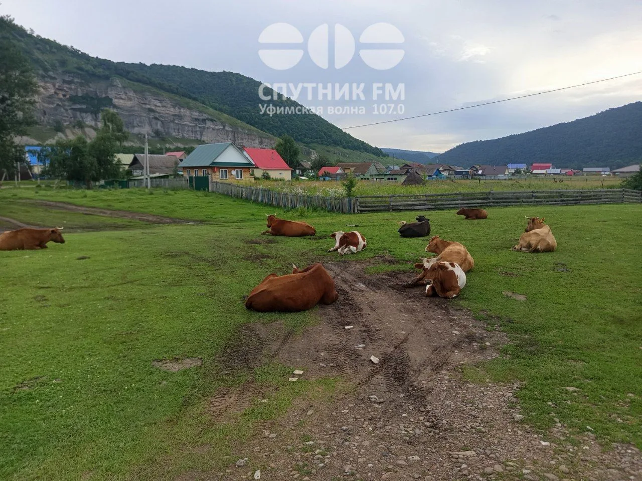 Жара и локальные дожди ожидаются в Башкирии в ближайшие дни