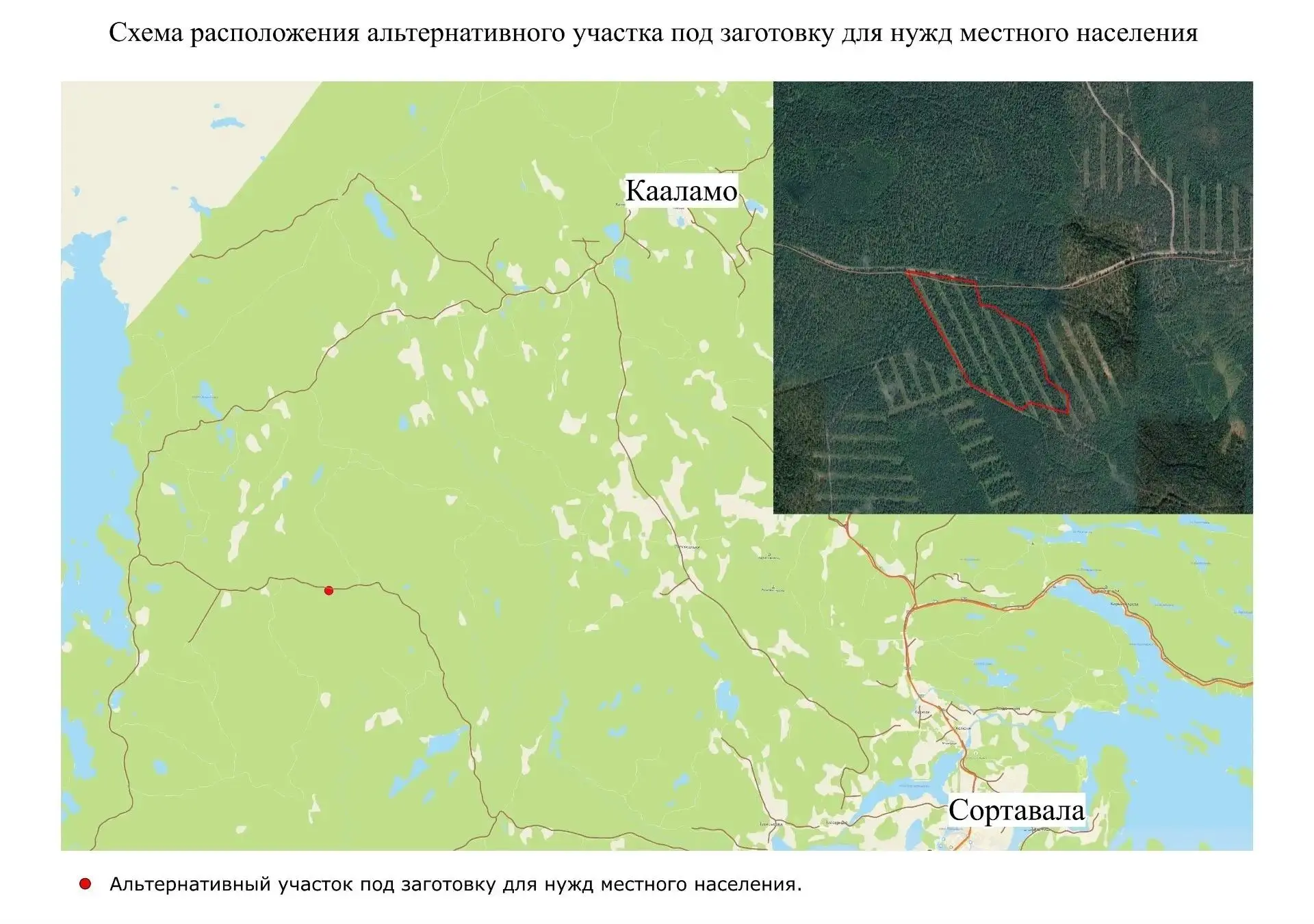 ❗️Сортавальское лесничество подобрало альтернативный участок для заготовки дров и делов...