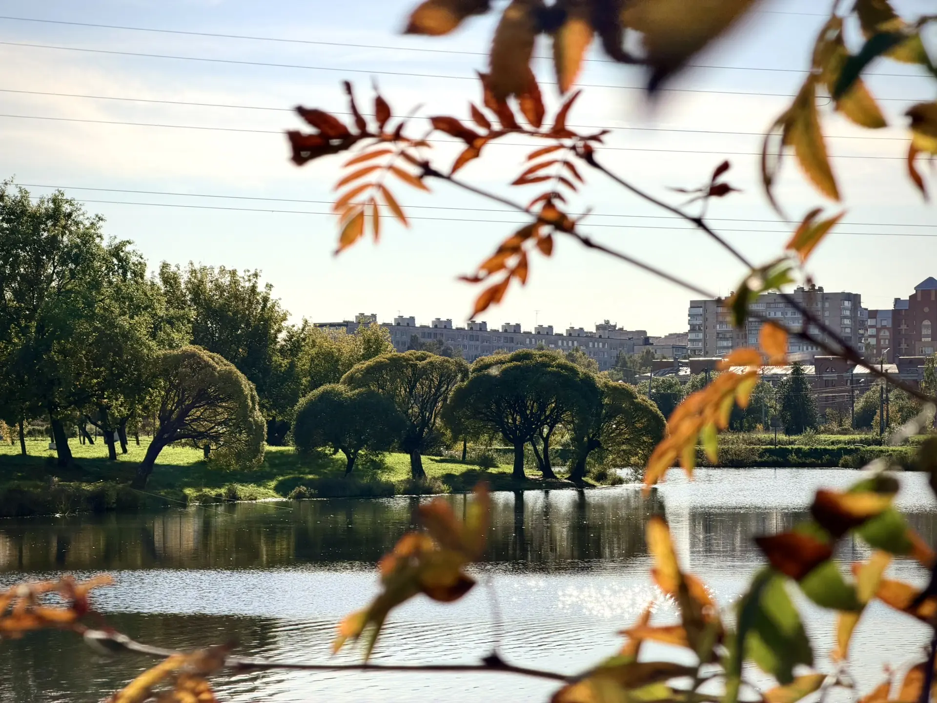 📍 Фрунзенский район, парк Интернационалистов