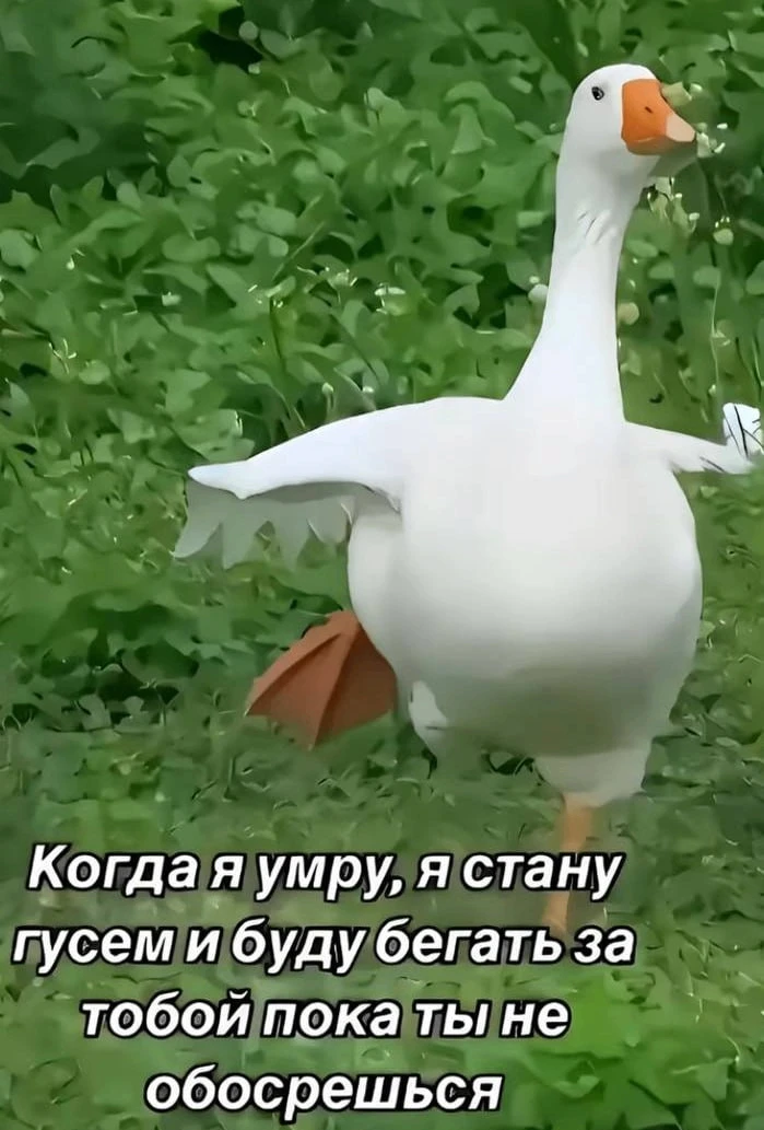 *ты знаешь, кому переслать <З