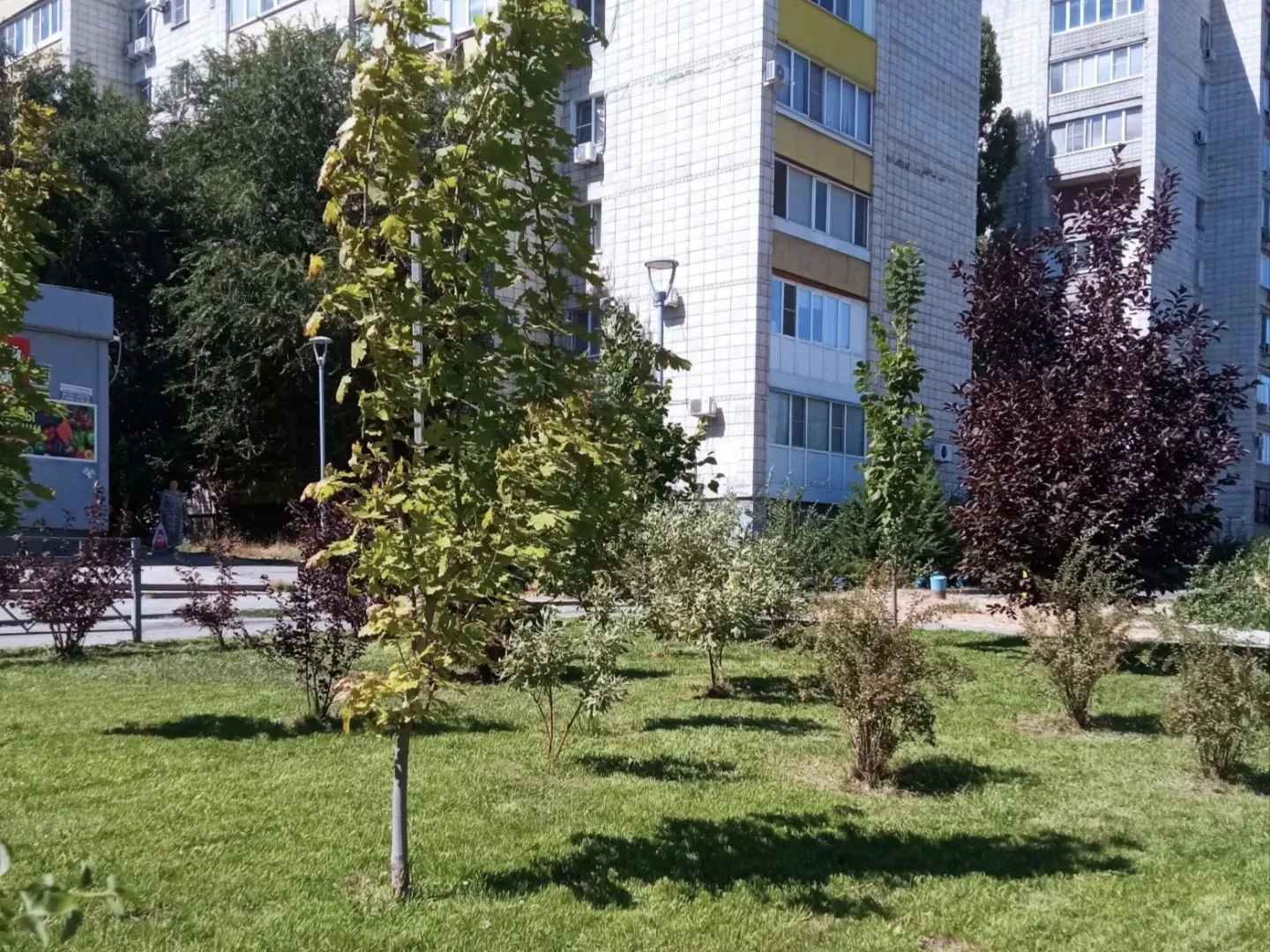 ✂️🪚В Советском районе продолжается сезонная работа по покосу сорной растительности, ст...